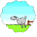 Gifs animados: ovella1.gif 