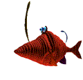 Gifs animados: peix1.gif 