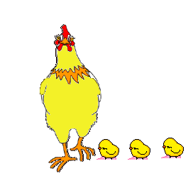 Como canta la gallina